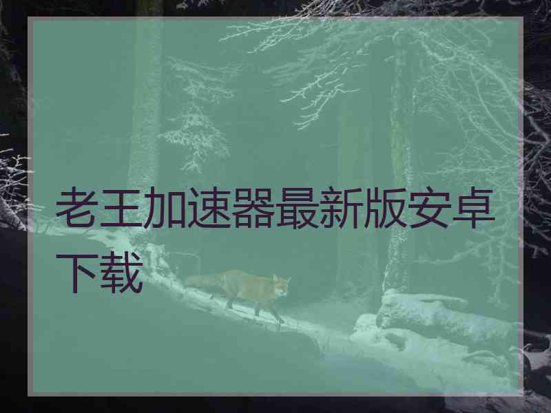 老王加速器最新版安卓下载