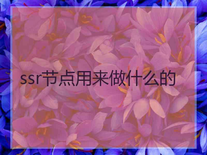 ssr节点用来做什么的