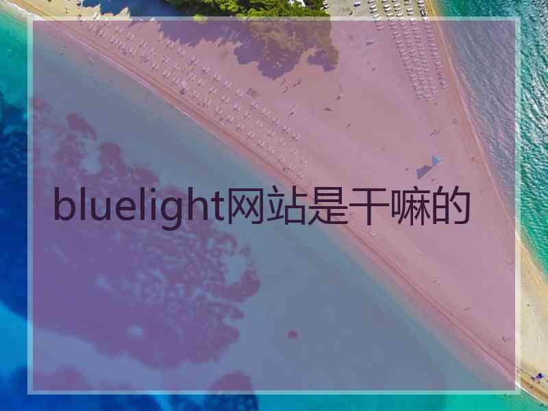 bluelight网站是干嘛的