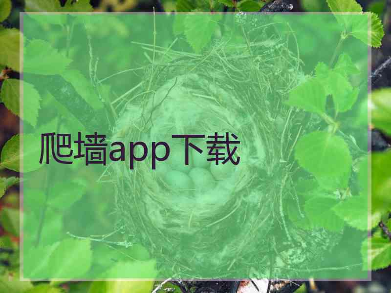 爬墙app下载