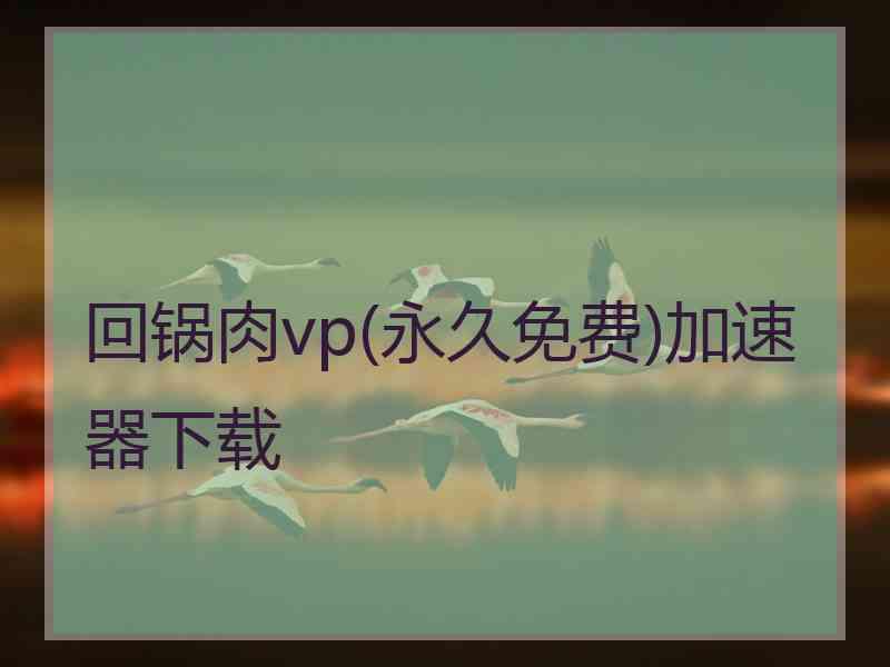 回锅肉vp(永久免费)加速器下载