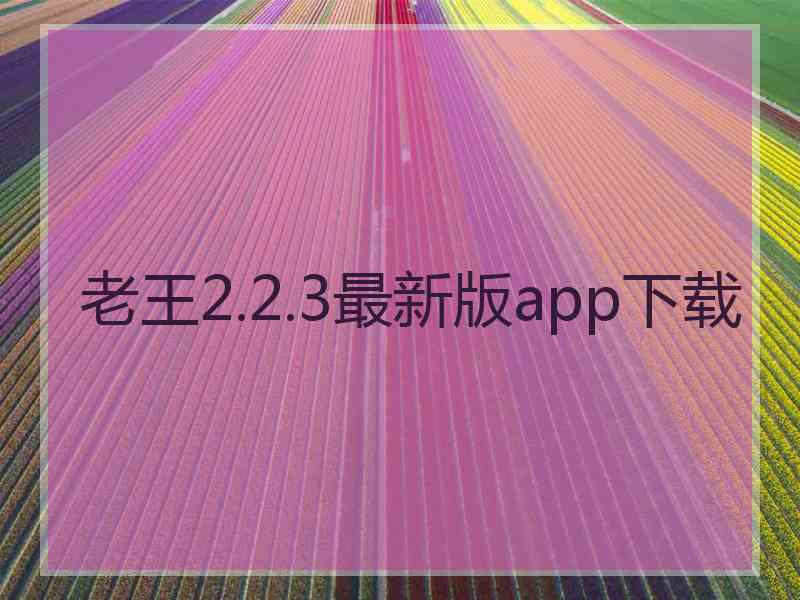 老王2.2.3最新版app下载