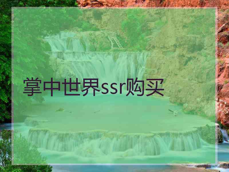 掌中世界ssr购买