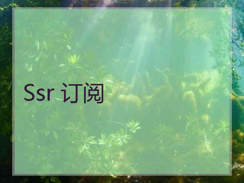 Ssr 订阅