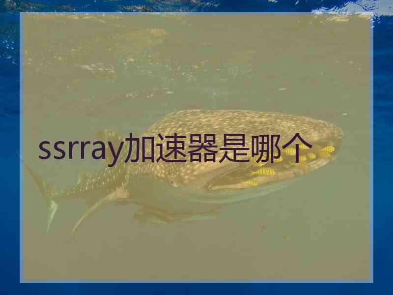 ssrray加速器是哪个