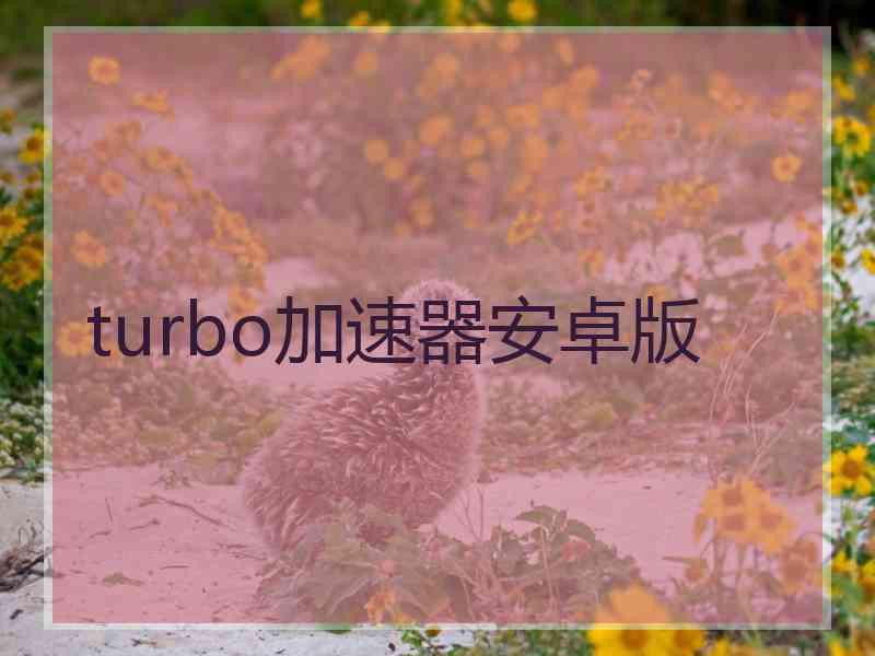 turbo加速器安卓版