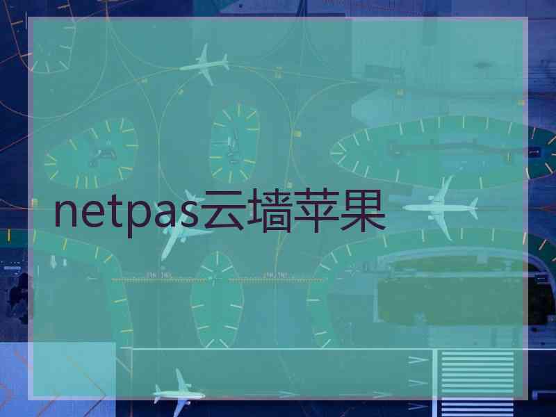 netpas云墙苹果