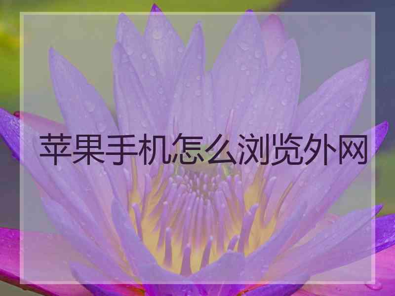 苹果手机怎么浏览外网