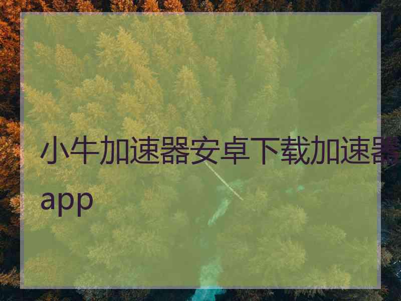 小牛加速器安卓下载加速器app