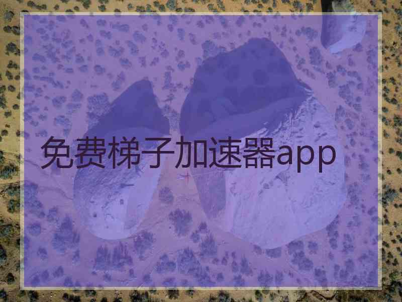 免费梯子加速器app