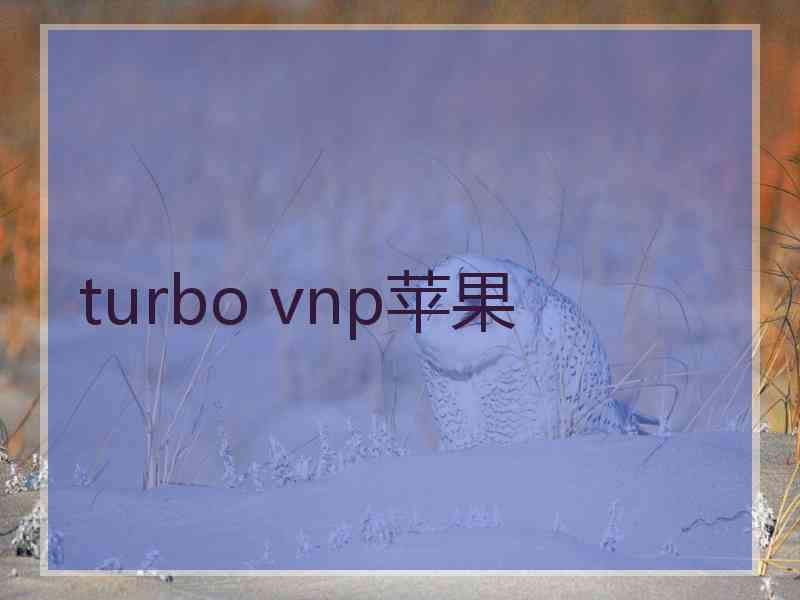 turbo vnp苹果