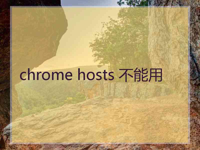 chrome hosts 不能用