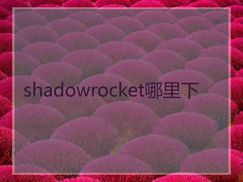 shadowrocket哪里下