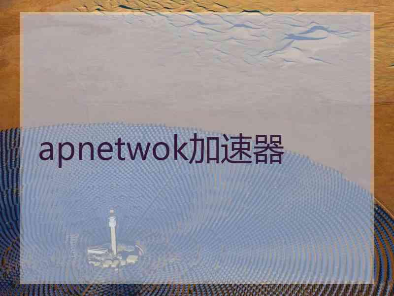 apnetwok加速器