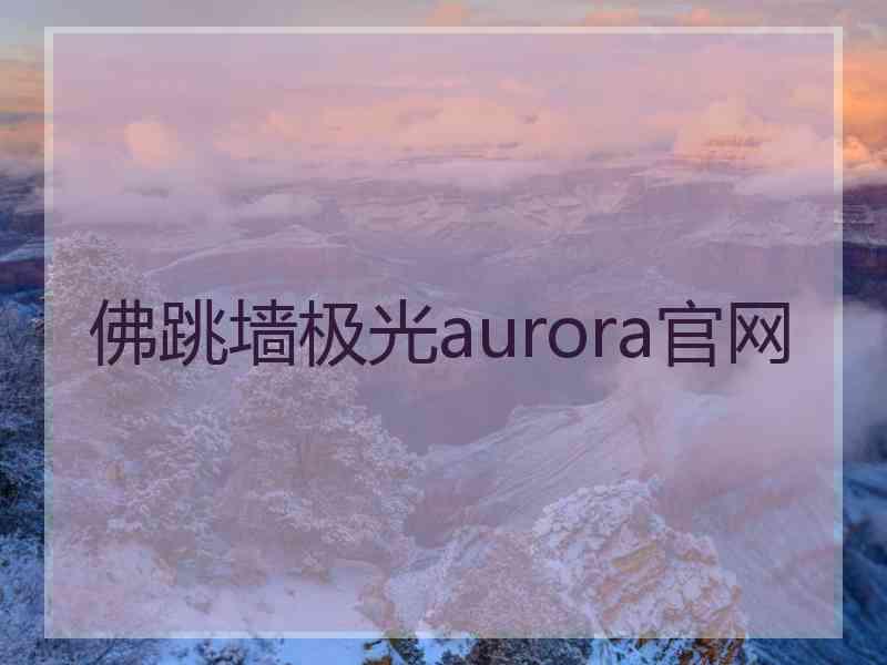 佛跳墙极光aurora官网