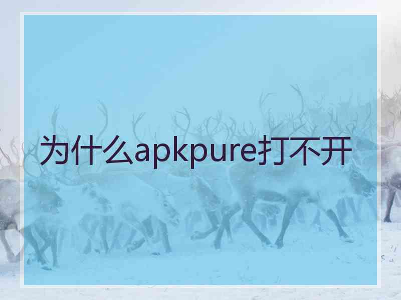 为什么apkpure打不开