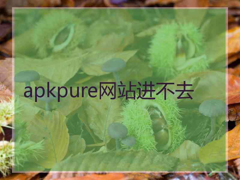 apkpure网站进不去