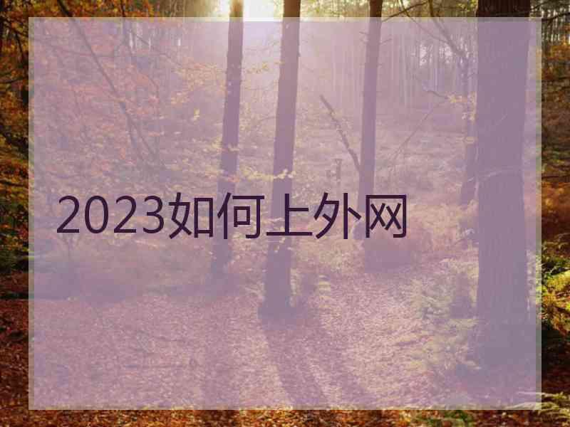 2023如何上外网