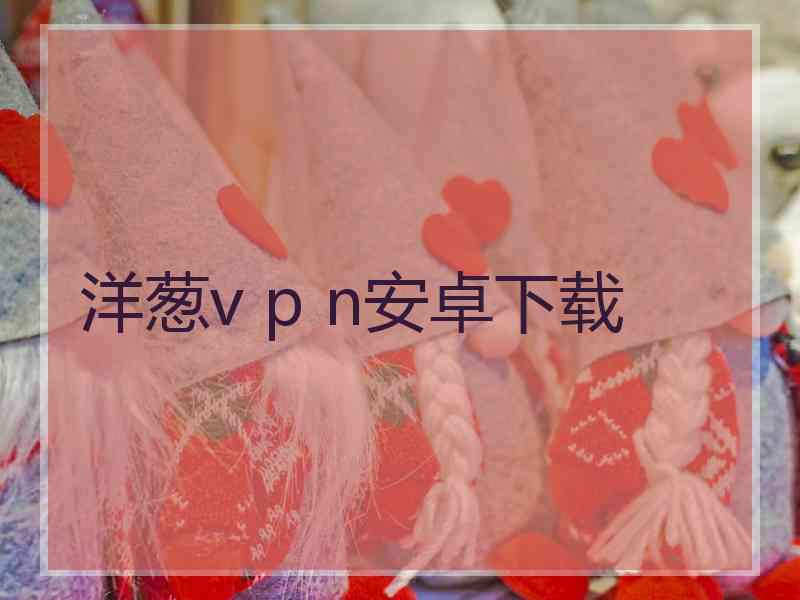 洋葱v p n安卓下载