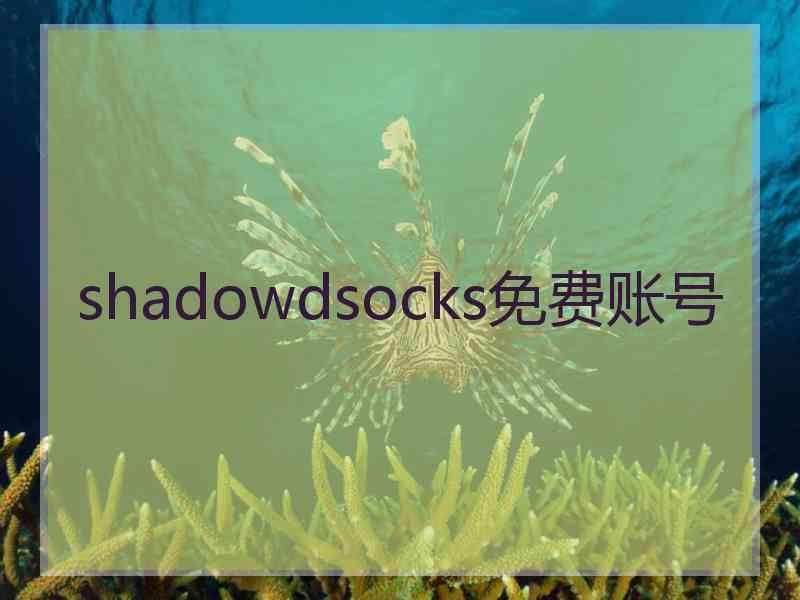 shadowdsocks免费账号