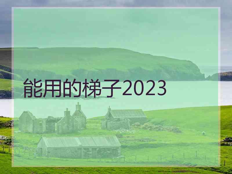 能用的梯子2023