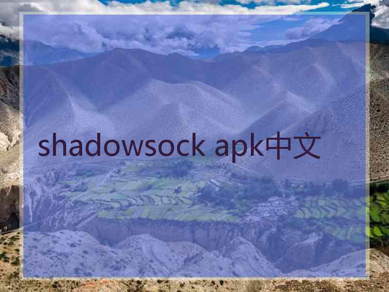 shadowsock apk中文