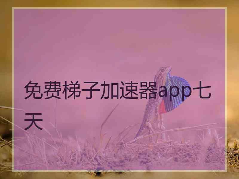 免费梯子加速器app七天