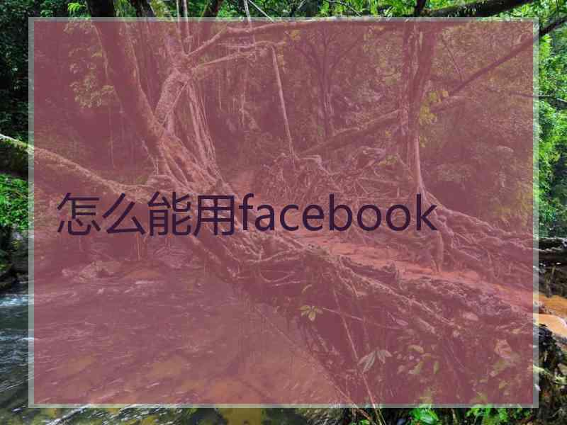 怎么能用facebook