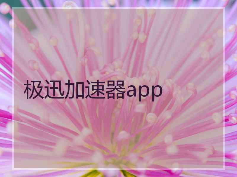 极迅加速器app