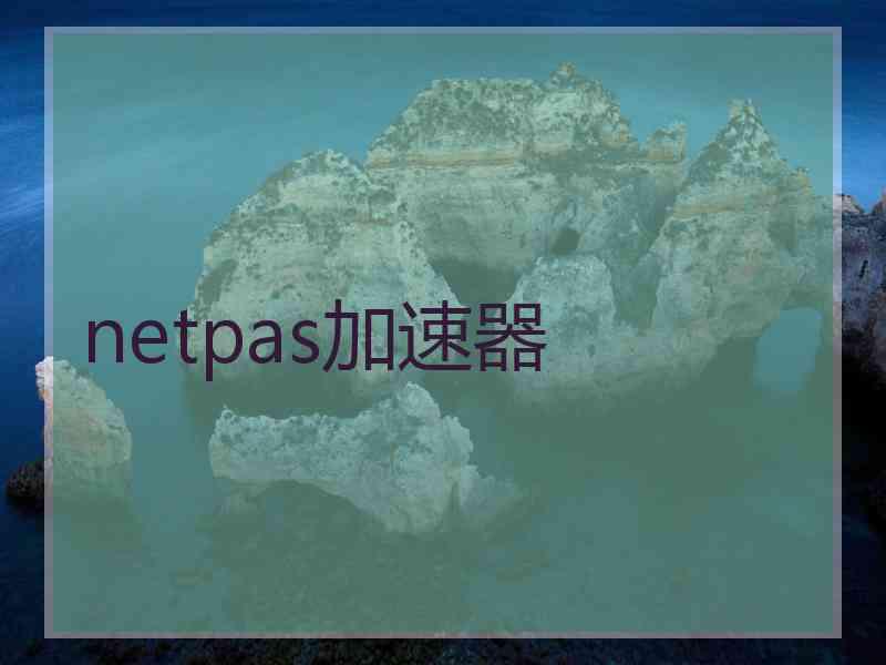 netpas加速器