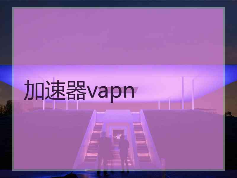 加速器vapn