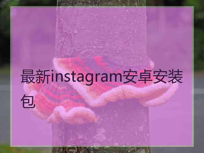 最新instagram安卓安装包