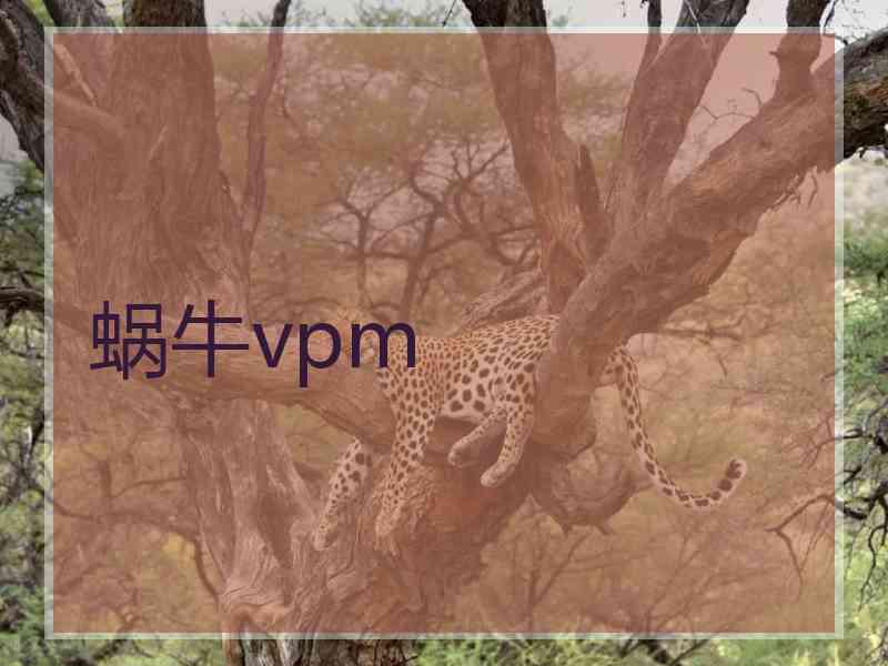 蜗牛vpm