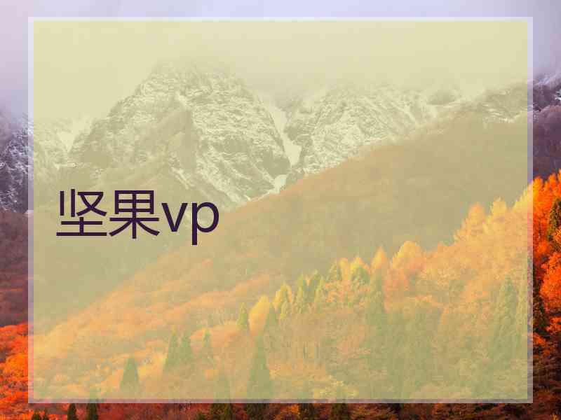 坚果vp