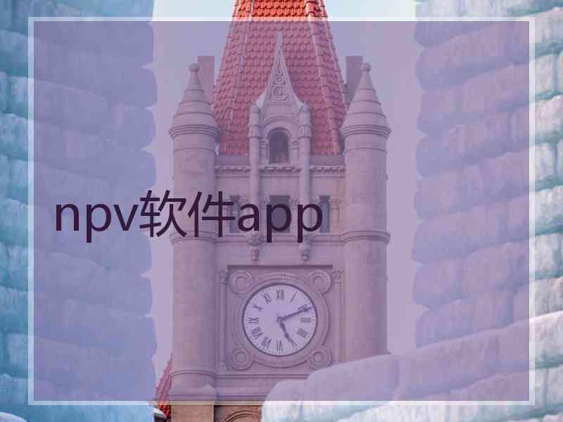 npv软件app