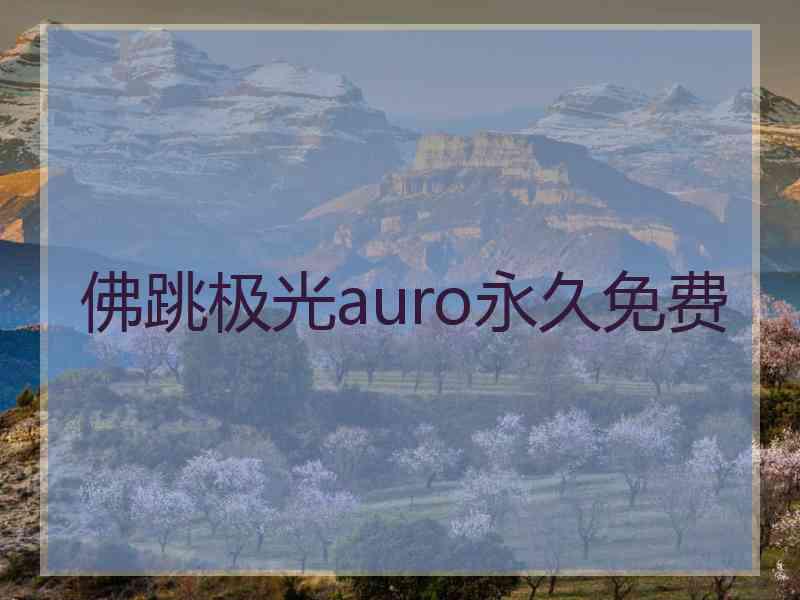 佛跳极光auro永久免费