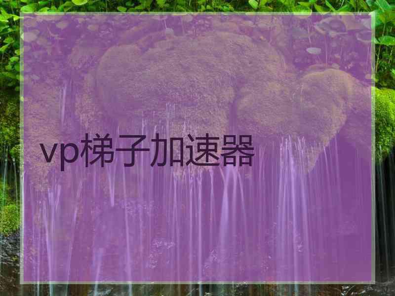 vp梯子加速器