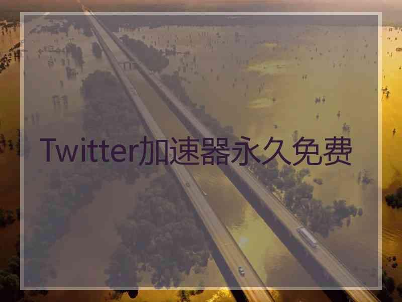 Twitter加速器永久免费