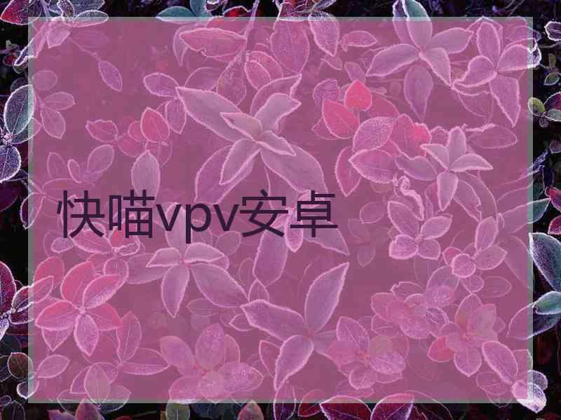 快喵vpv安卓