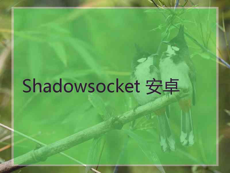 Shadowsocket 安卓