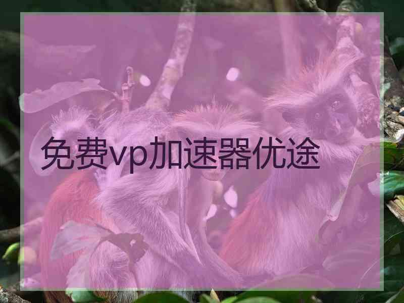 免费vp加速器优途