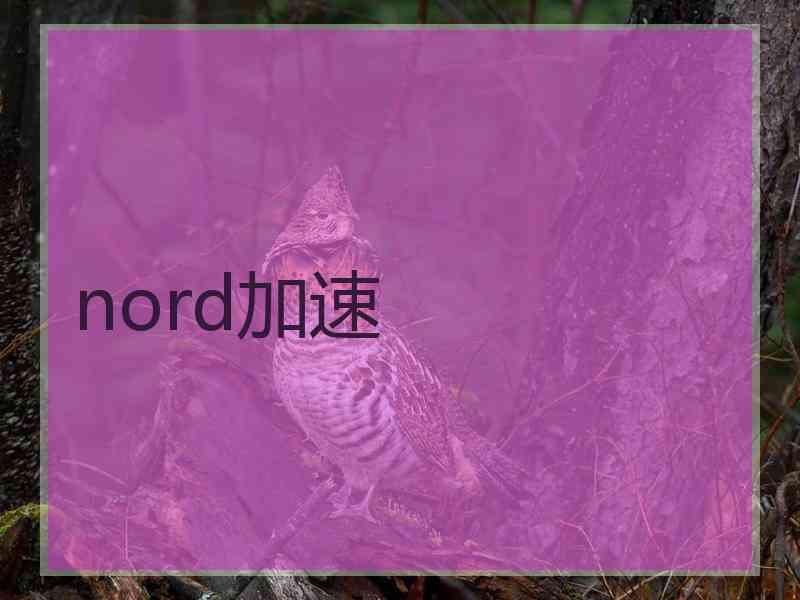 nord加速