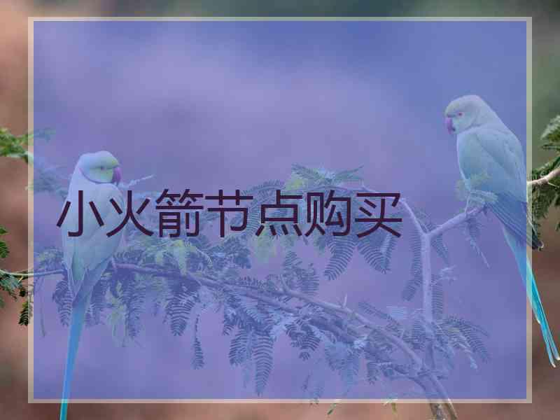 小火箭节点购买