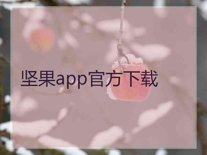 坚果app官方下载