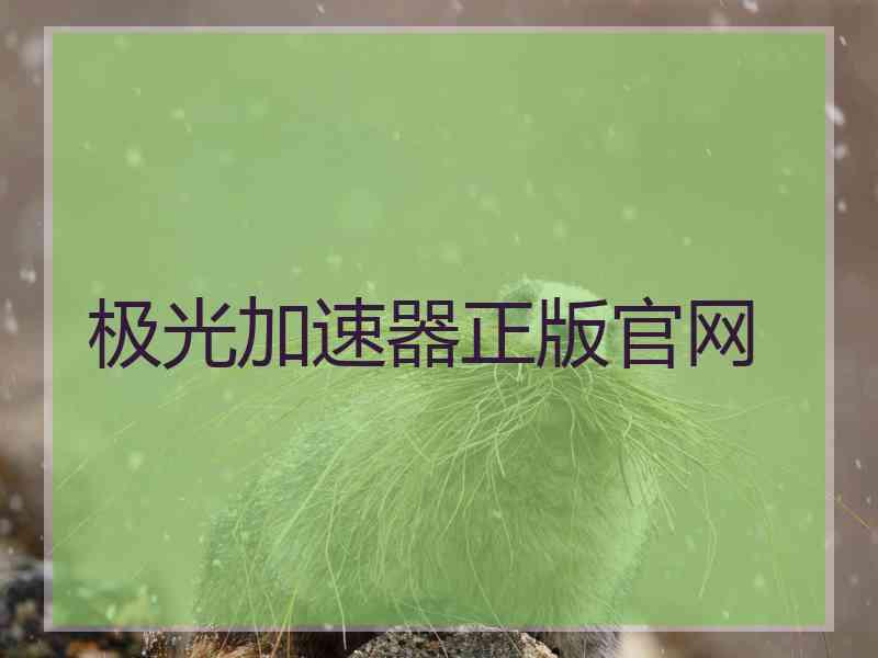 极光加速器正版官网