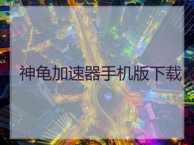 神龟加速器手机版下载