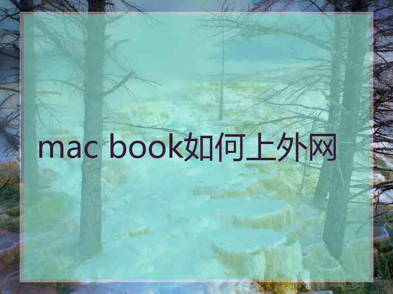 mac book如何上外网