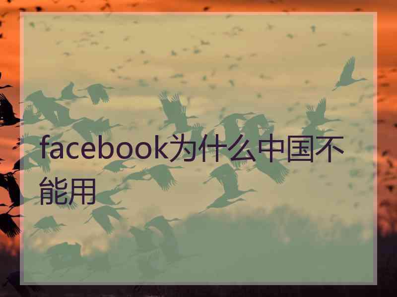 facebook为什么中国不能用