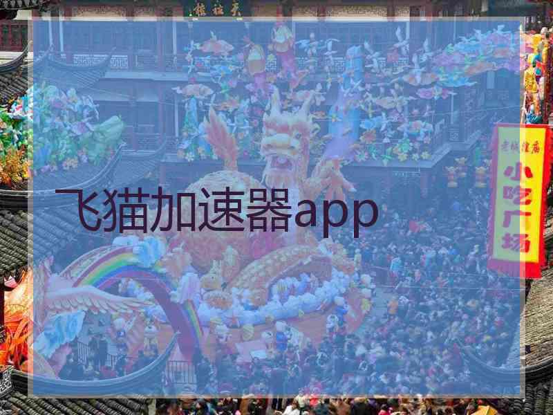 飞猫加速器app