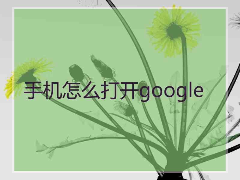 手机怎么打开google